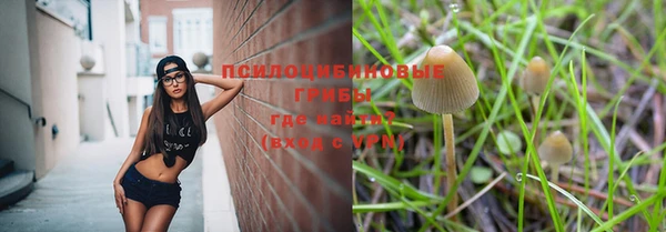 mdpv Алексин
