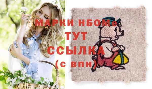 прущие грибы Елизово