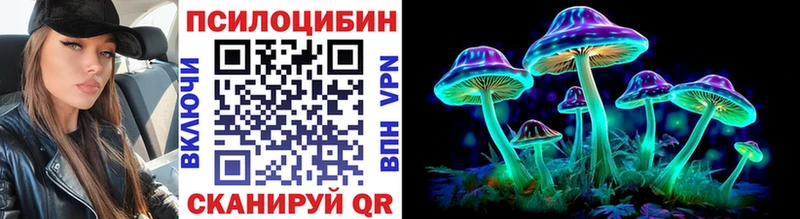 Галлюциногенные грибы MAGIC MUSHROOMS  где можно купить наркотик  мега ссылки  Поворино 